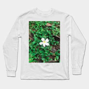 White Plumeria flower drop on the ground Long Sleeve T-Shirt